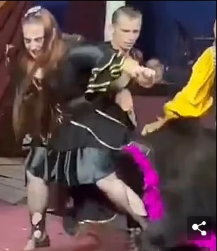 Dehşet anları: Rus sirkinde ayı eğitmenine saldırdı